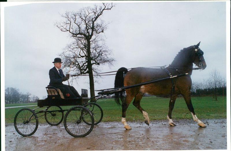 Hackney horse society. - Vintage Photograph