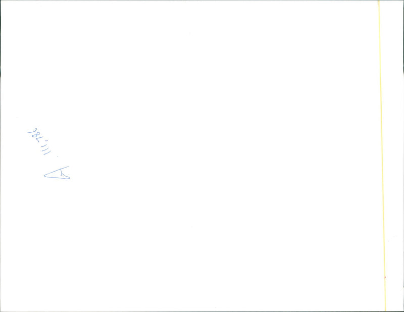 Charred landscape - Vintage Photograph