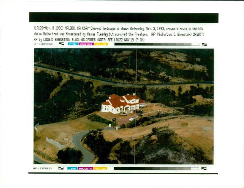 Charred landscape - Vintage Photograph