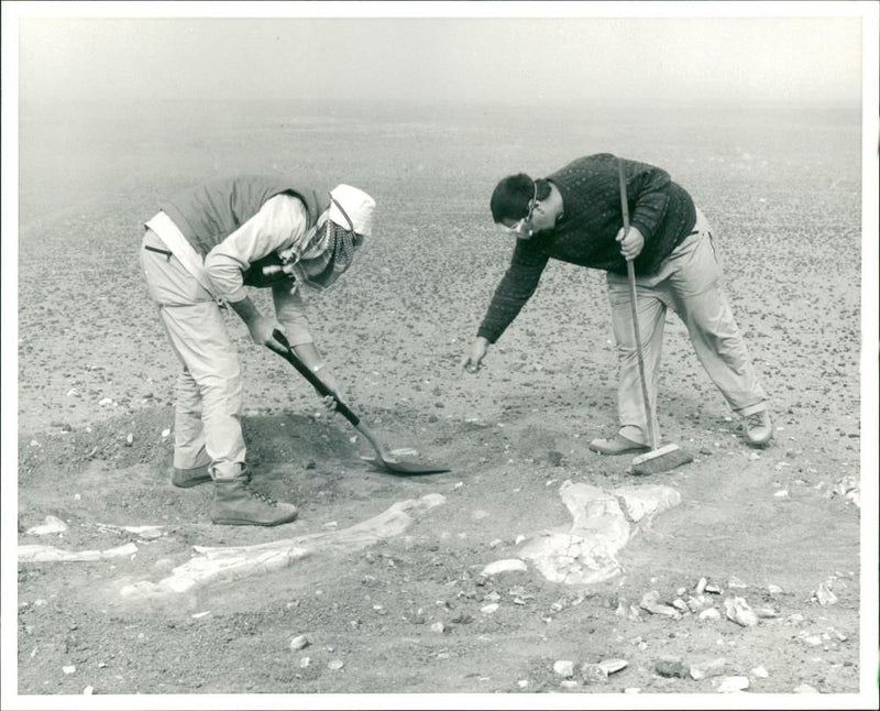 sahara expedition two scientist - Vintage Photograph