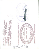 Prof. Sir Anthony C. Lewis, Principal, Royal Academy of Music - Vintage Photograph