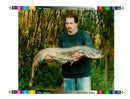 Catfish - Vintage Photograph