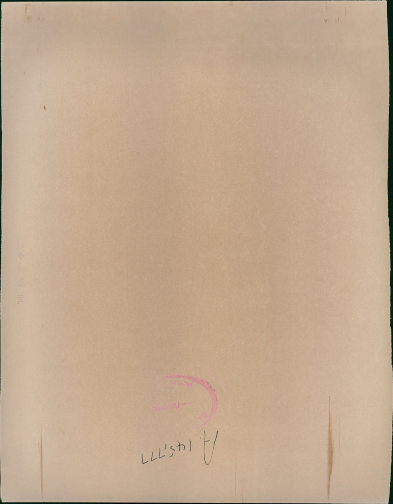 PEPCON disaster - Vintage Photograph