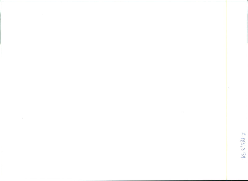 Hafla:part of a fifty stron.g troupe of musicians - Vintage Photograph