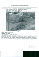 Israel hebron mosque massacre:israeli army sharpshooters take aim. - Vintage Photograph