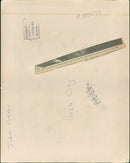 Fighting Gaza young have lived amid the violence of the protests. - Vintage Photograph