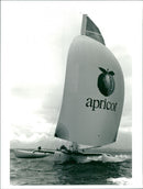 Ship yacht apricot: - Vintage Photograph