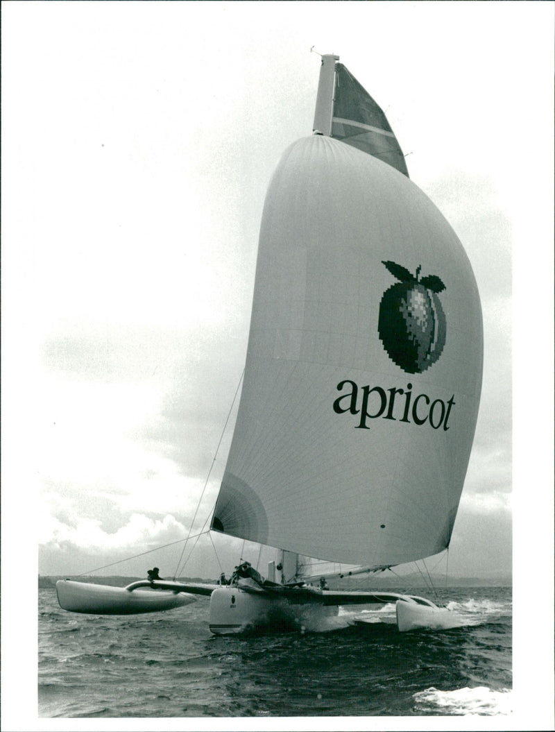 Ship yacht apricot: - Vintage Photograph