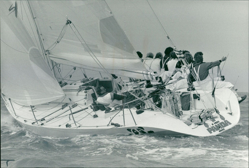 Panda - Vintage Photograph
