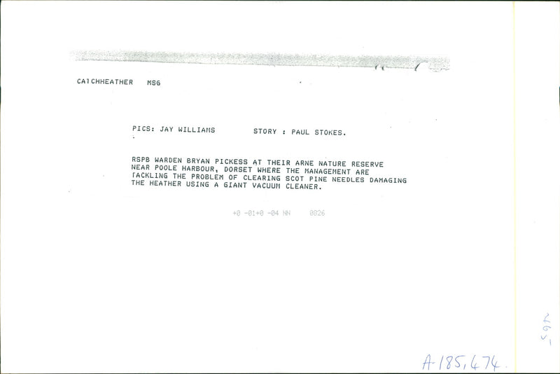 RSPB warden Bryan pickess at their nature reserve near poole harbour. - Vintage Photograph