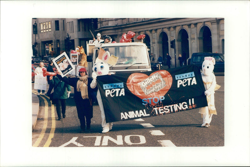 Gillette:animal Testing. - Vintage Photograph