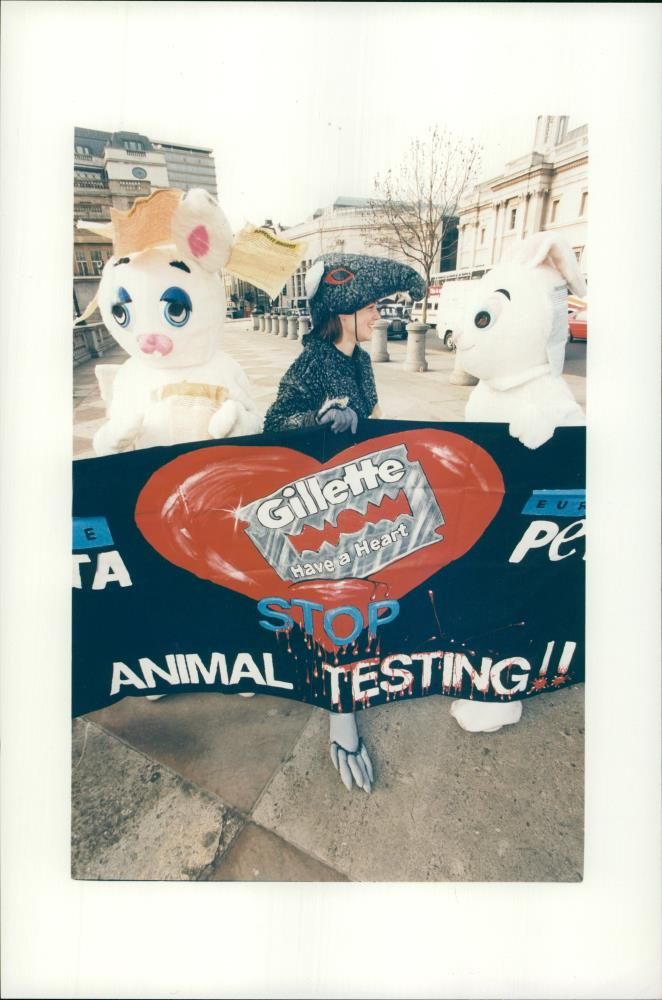 Gillette:Animal Testing. - Vintage Photograph