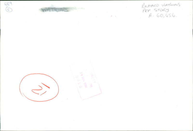 Pensions: Elder couple with some dogs. - Vintage Photograph