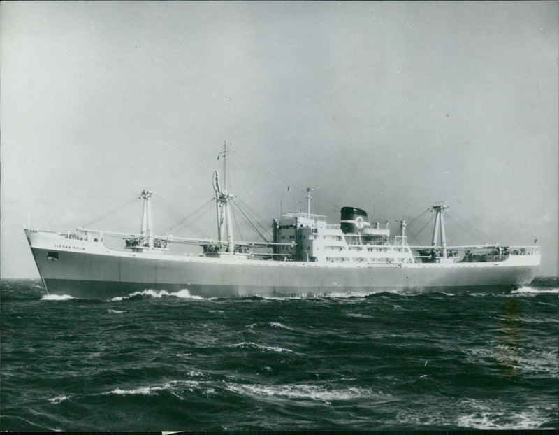 Ship:ilesha palm, tyne yards build 12 ships in five years. - Vintage Photograph