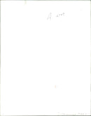 Josephine Hart Irish writer. - Vintage Photograph