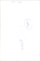 Animal, Cattles. - Vintage Photograph