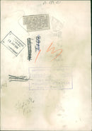 Animal, Cattle: Cows gets fog lamps. - Vintage Photograph