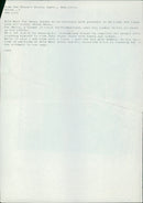 Animal, Cattle: - Vintage Photograph