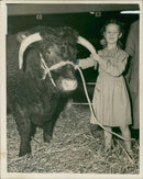 Animal, Cattle: Smithfield show with Marilyn Head. - Vintage Photograph