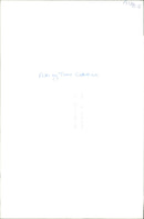 Animal, Cattles. - Vintage Photograph