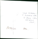 Animal, Cattles. - Vintage Photograph