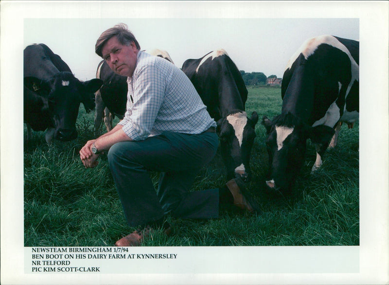 Cattle:Ben boot on his dairy farm - Vintage Photograph