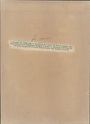 Animal,Cattle: a friestan cow called lady. - Vintage Photograph