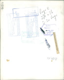 Animal,Cattle: Last King Bull. - Vintage Photograph