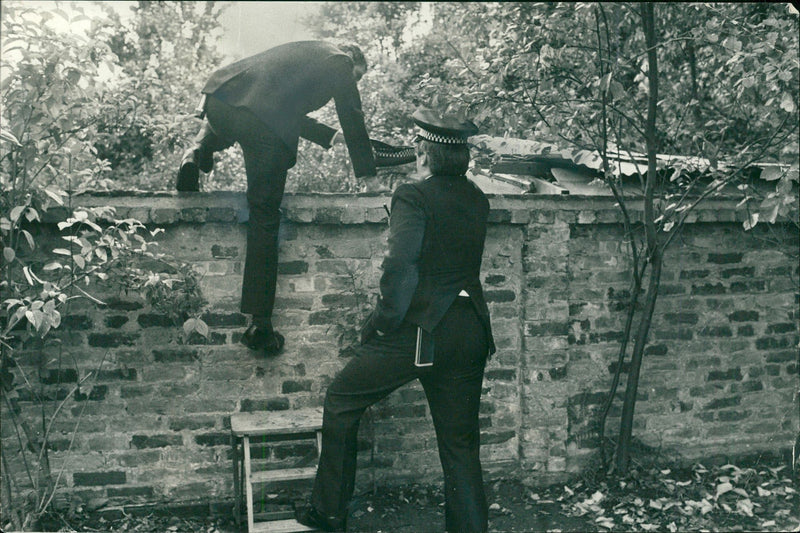 Animal,Cattle: Police climbing over a garden wall. - Vintage Photograph