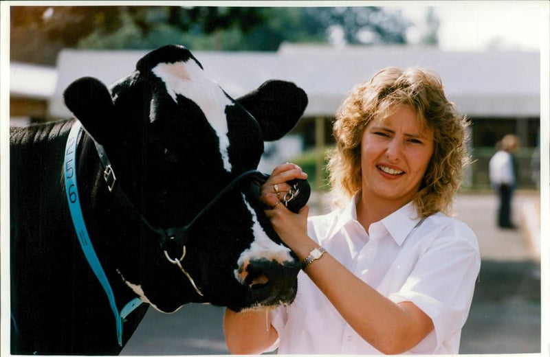 Animal,Cattle:European airy farming event. - Vintage Photograph