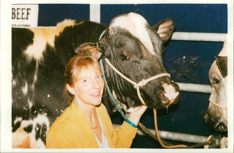 Animal,Cattle: Euro Dairy Farming Event. - Vintage Photograph