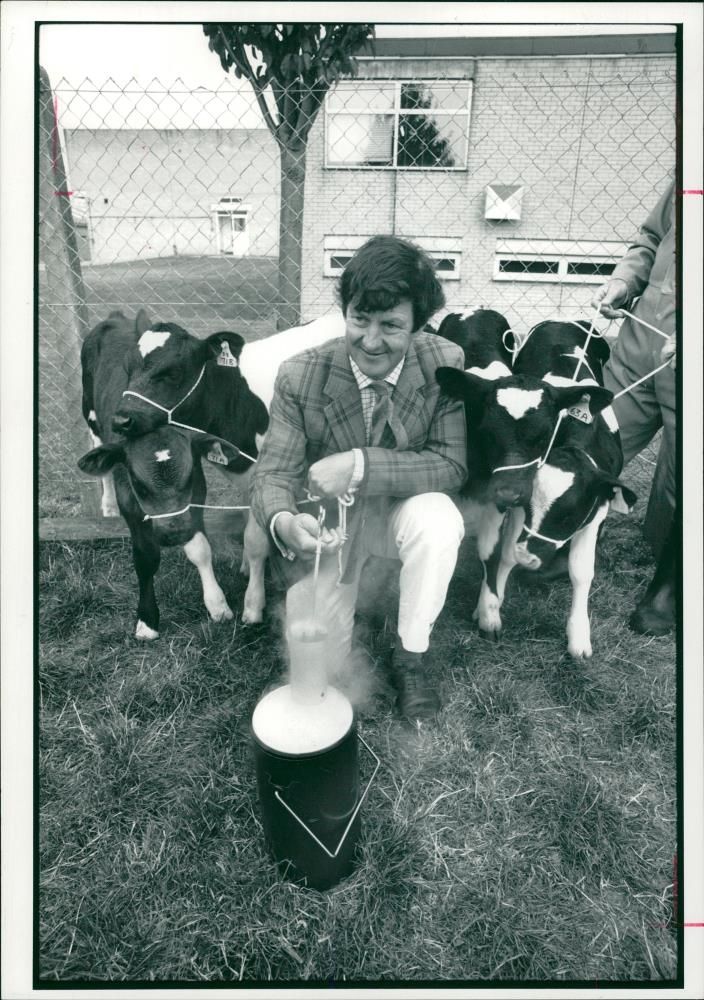 Animal,Cattle: Mr Philip Paxman. - Vintage Photograph