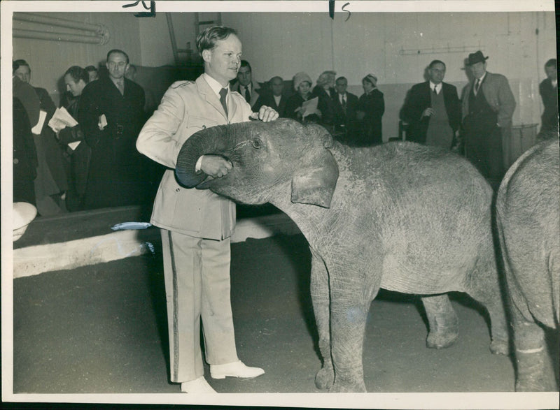 Circus Scene:Animal Crackers Peter Jolly. - Vintage Photograph