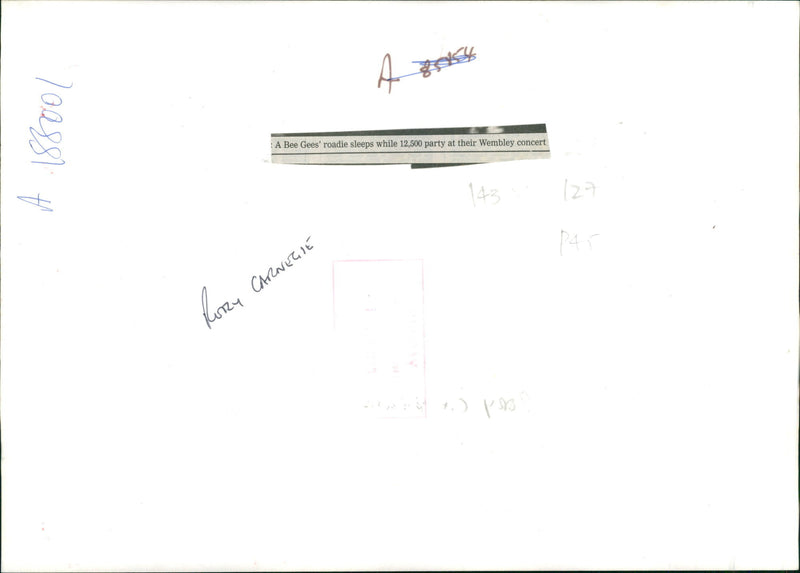 A bee gees roadle sleeps while 12500 party at their wembley concert. - Vintage Photograph