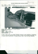 Fashion:A model licks a pair of blood stained. - Vintage Photograph