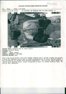 Fashion:This line green by bikini with the cheeky. - Vintage Photograph