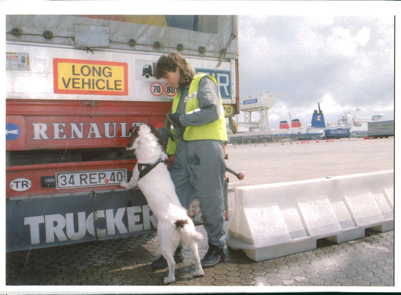 Animal Swiffer Dogs:The Dog Hnadler Christine. - Vintage Photograph