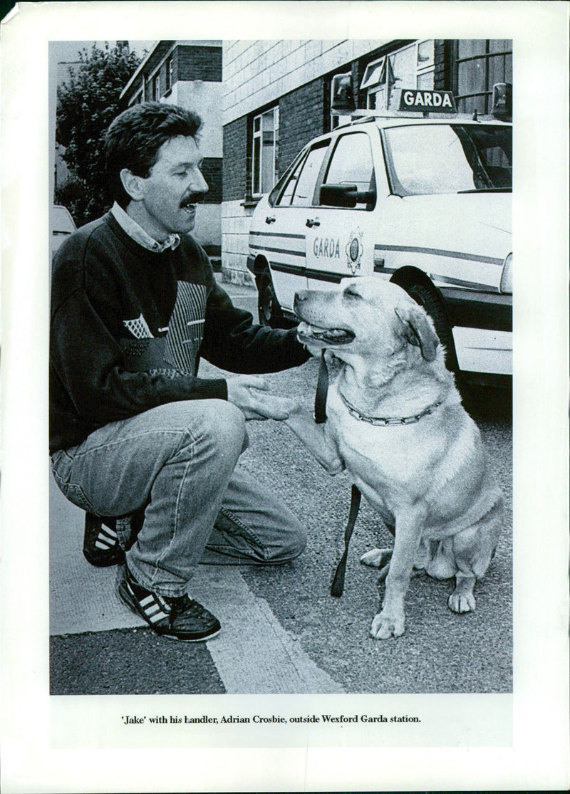 Animal Swiffer Dogs: - Vintage Photograph