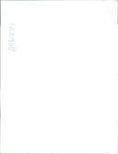 Animal Swiffer Dogs:The dog jake. - Vintage Photograph