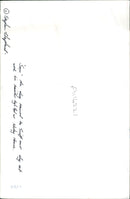 Animal Swiffer Dogs: - Vintage Photograph