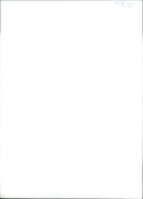 Animal Swiffer Dogs:The Royal Army Vetenary. - Vintage Photograph