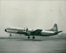 The Lockheed Electra airliner. - Vintage Photograph