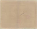 Westminster duke: - Vintage Photograph