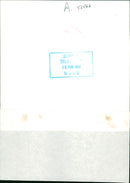 Westminster duke: - Vintage Photograph