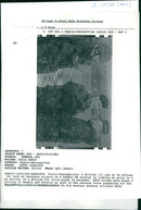 Bosnian War Armed conflict:A british Us officer soldier. - Vintage Photograph