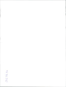 a salute from russian admiral. - Vintage Photograph