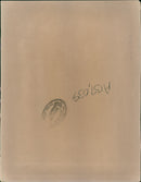 Musical instruments violine: - Vintage Photograph