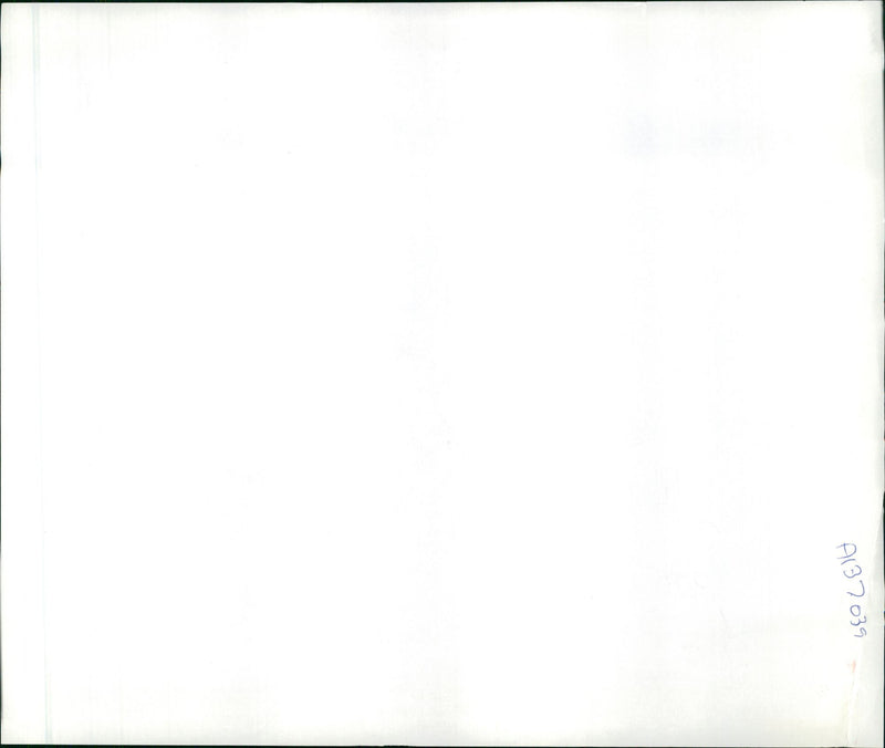 Musical instruments violine: - Vintage Photograph