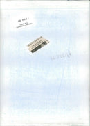 Musical instruments violine:mr stephens:20 years unlocking the secrets. - Vintage Photograph