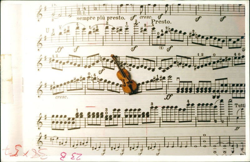 Musical instruments violine: - Vintage Photograph